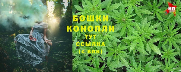 мдпв Лабытнанги