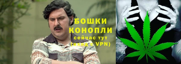 крисы Ладушкин