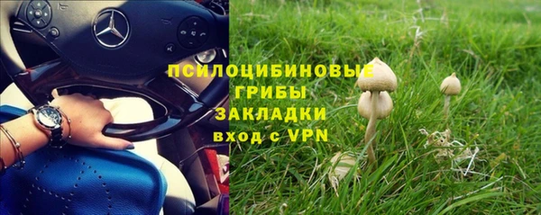 крисы Ладушкин