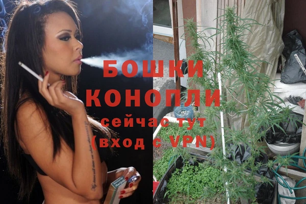 мдпв Лабытнанги